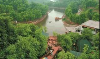 心之所向便是光是啥意思 在你心之所向的地方