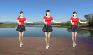 最简单的广场舞 最简单的广场舞