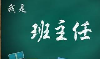 小学班主任述职报告