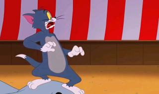 猫和老鼠消失的22集