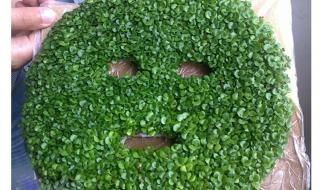 补水面膜排行榜8强