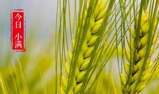 终归小满胜万全