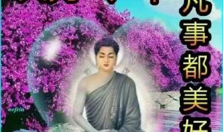 早上好初十图片 早上好初十图片