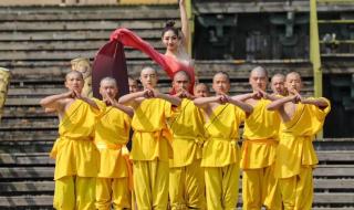 郑州国际少林武术节 郑州国际少林武术节