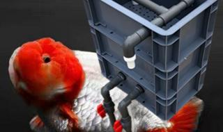 自制鱼缸过滤器