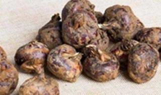 printscreen在win7的作用 printscreen