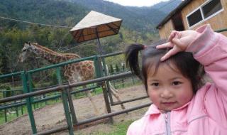 我想有个窝 我想有个窝