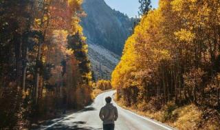 走自己的路 走自己的路