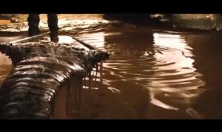 异形对忍者 异形对忍者