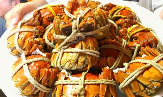 苏州阳澄湖大闸蟹价格 苏州阳澄湖大闸蟹价格