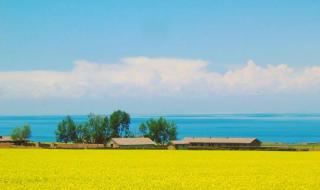 送你一朵小红花拍摄地 送你一朵小红花拍摄地