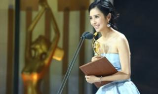 湖南电视剧2017年偶像电视剧 湖南卫视金鹰节2016