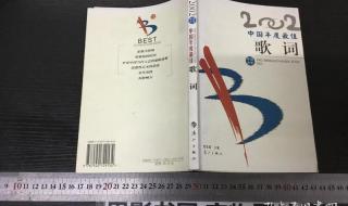 2002年的第一场雪歌词 2002年的第一场雪歌词