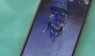 外卖小哥送餐途中被撞怎么办 外卖小哥劝回肇事者