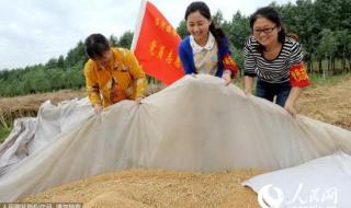 大学生村官三年合同期满还算应届毕业生吗 安徽大学生村官待遇