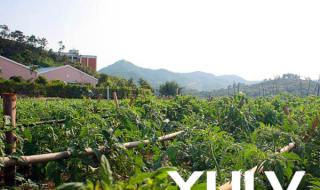 惠州海滨温泉度假村 惠州海滨温泉度假村