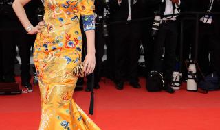 戛纳国际电影节 戛纳国际电影节